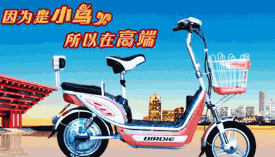 电瓶车什么牌子好，2018电瓶车十大品牌排行榜