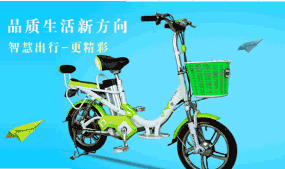 电瓶车什么牌子好，2018电瓶车十大品牌排行榜