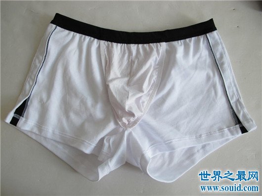 男内衣品牌排行榜_品牌内衣排行_男皮鞋品牌排行