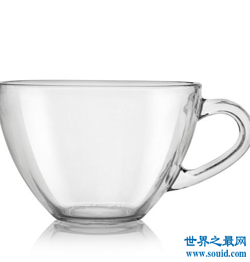 玻璃杯子品牌排行榜，玻璃杯子品牌哪个牌子好？(www.souid.com)