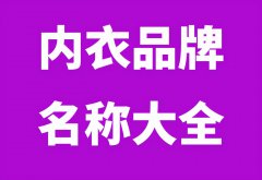 内衣品牌查询榜(内衣全国品牌排行榜)