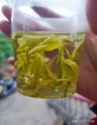 大瓶绿茶品牌排行榜(十大品牌绿茶)