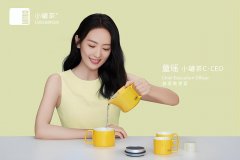 茶艺壶品牌排行榜(茶艺壶品牌排行榜前十名)