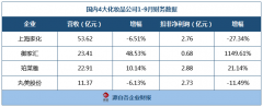 国内化妆品前三名公司排行榜(化妆品国内品牌排行榜前十名)