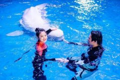 水族馆品牌排行榜(水族馆什么牌子好)