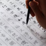 临摹字帖十大品牌排名榜(临摹字帖是什么样的)