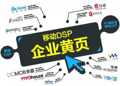 dsp国际品牌排行榜(dsp国际品牌排行榜前十名)