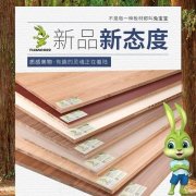 板材家具品牌榜(家具板材排名前十的品牌)