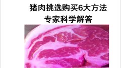 高品质肉类品牌排行榜(高品质肉类品牌排行榜前十名)