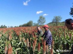 鸡西扇形淋浴房品牌排行榜(鸡西扇形淋浴房品牌排行榜及价格)