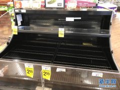 美国面包货架品牌排行榜(世界面包品牌排行前十)