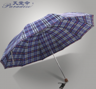 小雨伞品牌排行榜哪位知道(小小雨伞品牌怎么样)