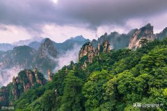 香港名茶品牌排行榜(香港名茶品牌排行榜及价格)