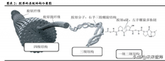 蛋白质化妆品排行榜(蛋白质化妆品排行榜新)