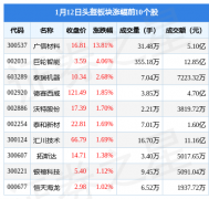 国产头盔品牌排行榜股票(国产头盔品牌排行榜股票图)