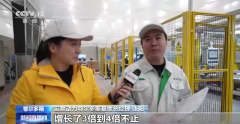 汉阳区出租吊装品牌排行榜(湖北吊装公司排名)
