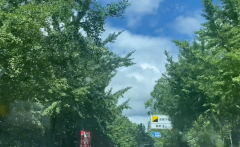 洛阳滑梯品牌排行榜(滑梯什么牌子的好)