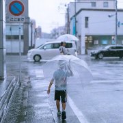 品牌雨伞排行榜(品牌雨伞排行榜前十)